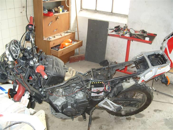 Yamaha XTZ 750 Super Ténéré - 2 timer efter den kom hjem:-) billede 7