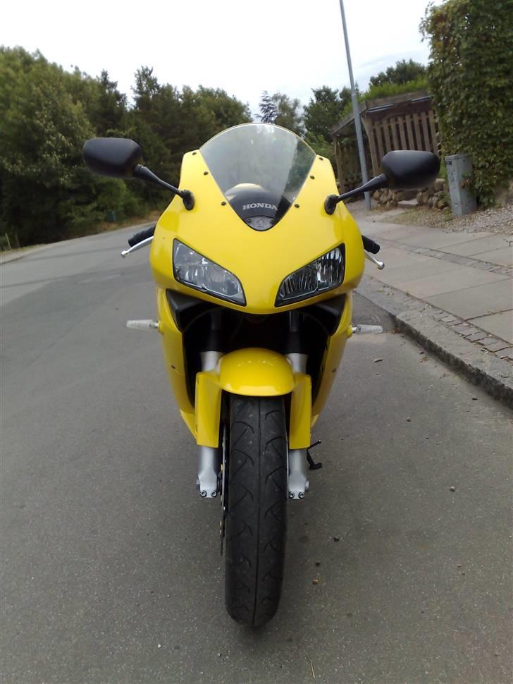 Honda CBR600RR SOLGT - "Brumbassen"  billede 1