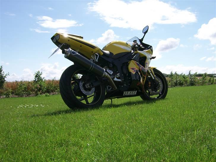 Yamaha YZF R6 - Rossi billede 1