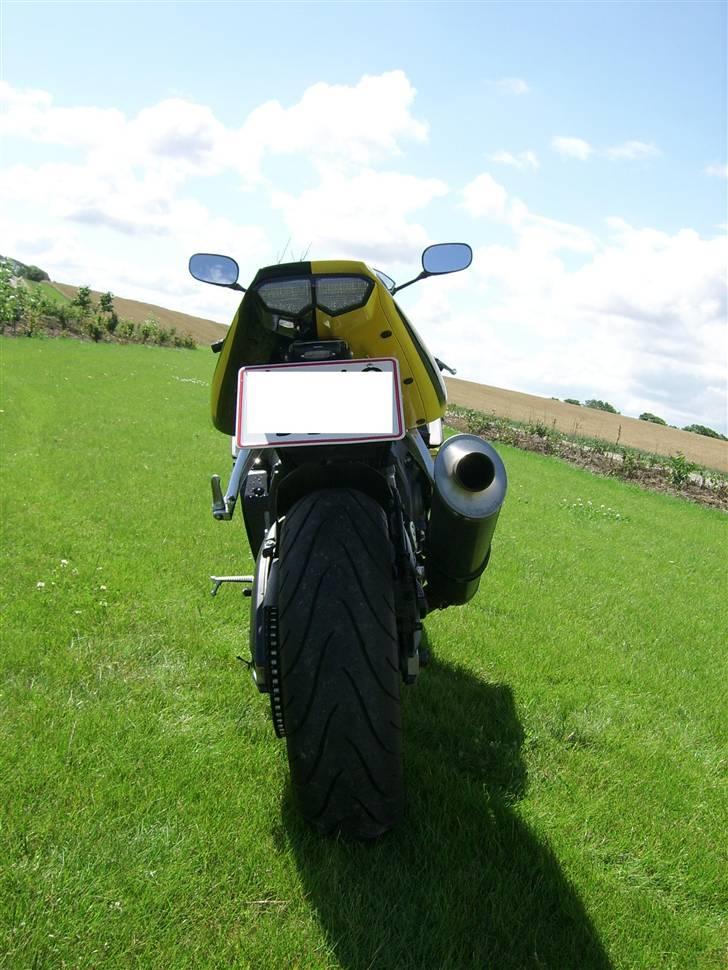 Yamaha YZF R6 - Rossi billede 4