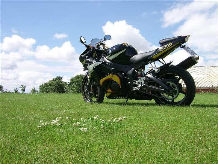 Yamaha YZF R6 - Rossi billede 9