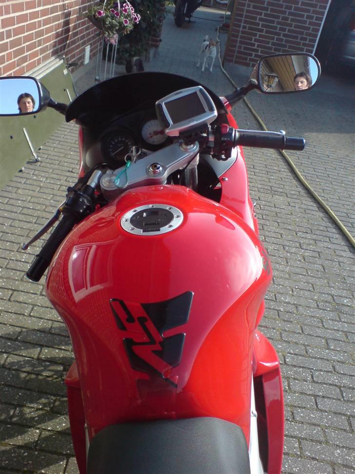 Suzuki SV 650 S (solgt) billede 3