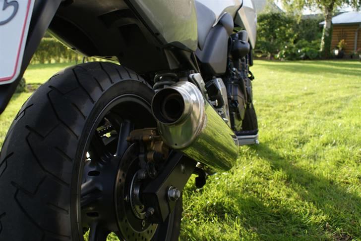 Honda CBF600SA billede 7