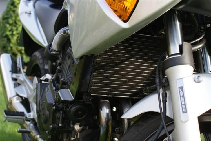 Honda CBF600SA billede 10