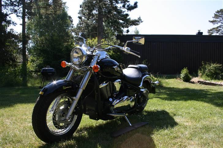 Kawasaki vn 900 classice billede 8