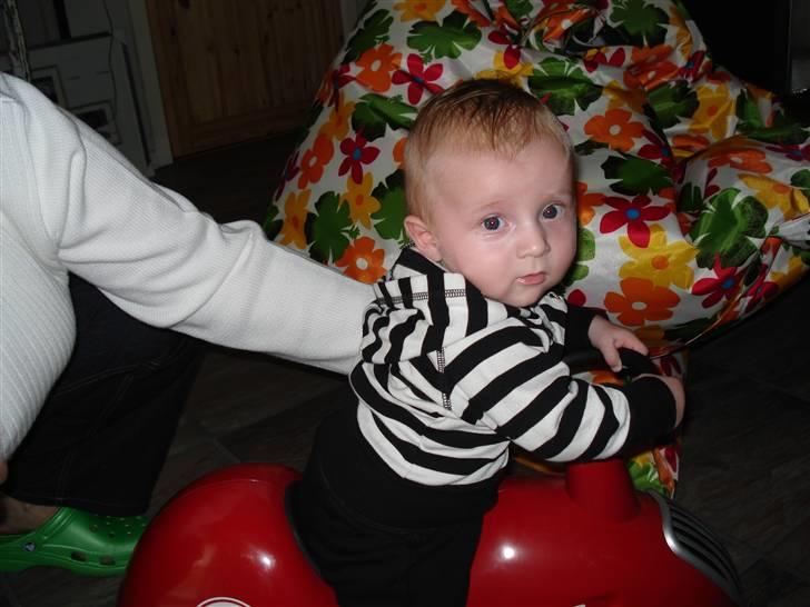 Yamaha fzr 1000 exup - ja ja han er ved at lære det...... billede 7