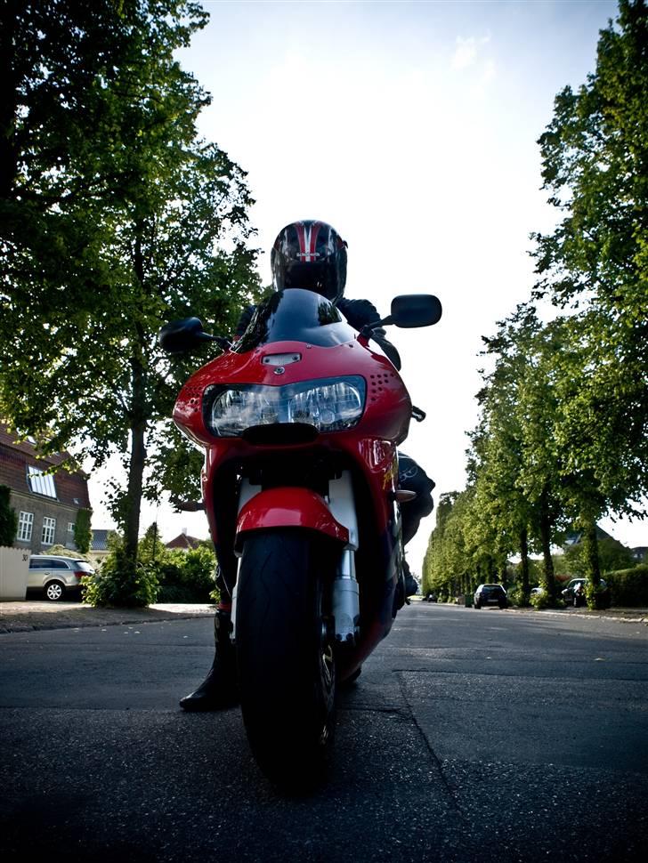 Honda CBR900RR Fireblade - Taget af min gode ven Lars Hauschildt... d. 22 juli 2008... billede 13