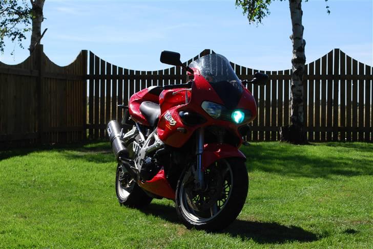 Suzuki TL1000S - i haven billede 4