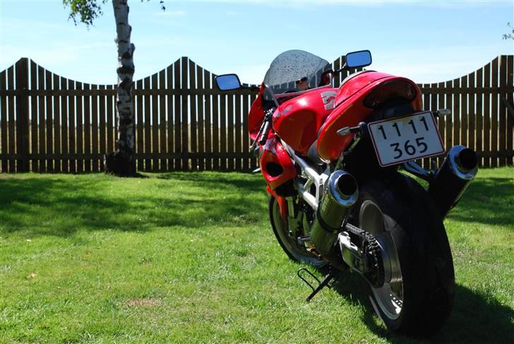 Suzuki TL1000S - i haven billede 5