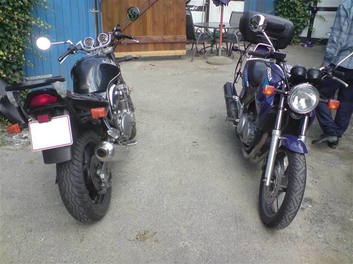 Suzuki Gsf 600 n Bandit  - Ved siden af en Cb 500 billede 12