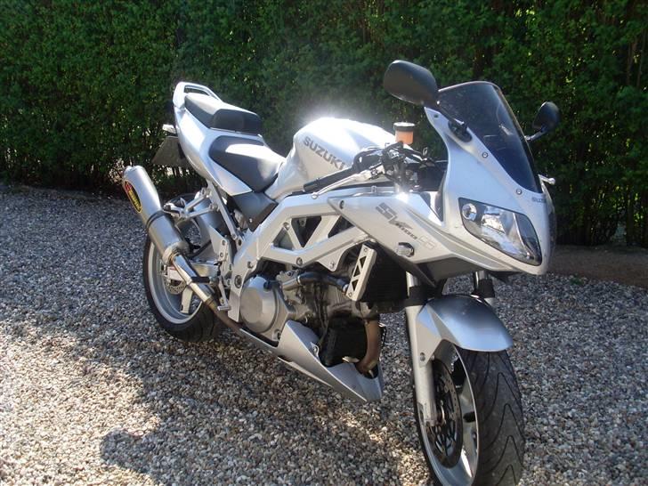 Suzuki sv1000s billede 3