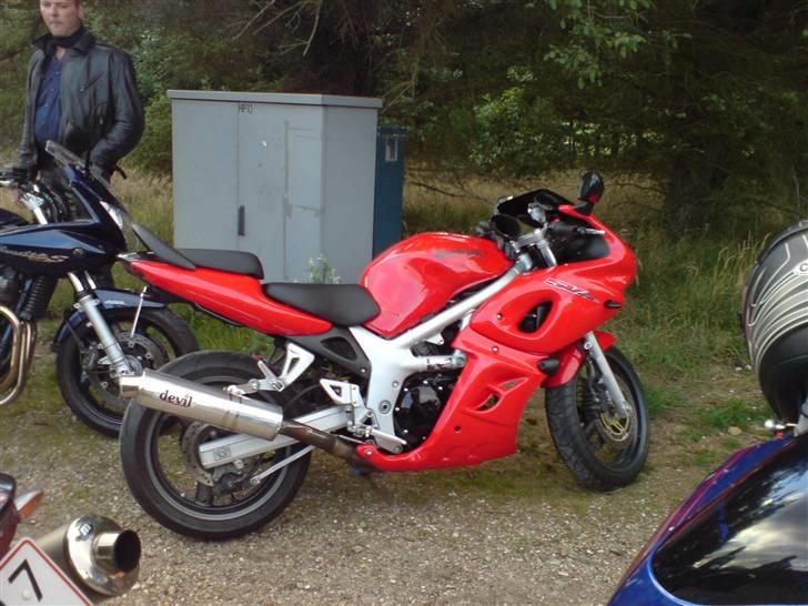 Suzuki SV 650 S (solgt) billede 13