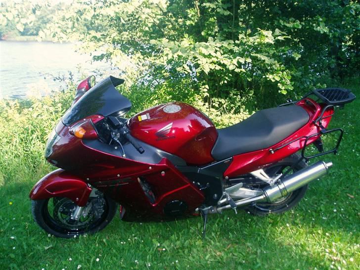 Honda CBR 1100 XX  - Sommer, sol og trilletur til Jels sø.  billede 1
