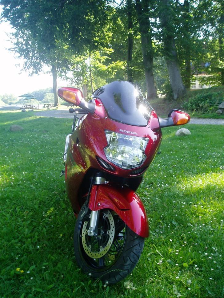 Honda CBR 1100 XX  - Sort double buble kåbeglas billede 3