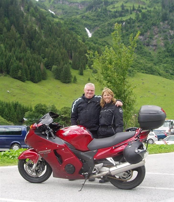 Honda CBR 1100 XX  - Fuglen, silden, og mig. billede 7