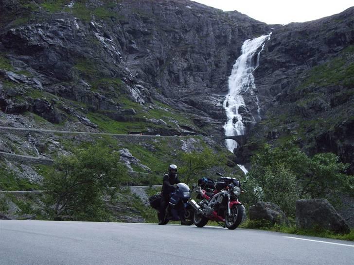Suzuki SV1000 [SOLGT] - Her er vi lige kommet ned af trollstigen - 11 hårdnålssving med en rimelig kraftif stigning billede 9