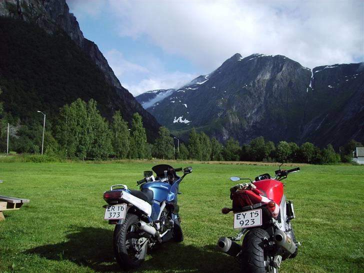 Suzuki SV1000 [SOLGT] - Udsigten kan man ikke klage over billede 10