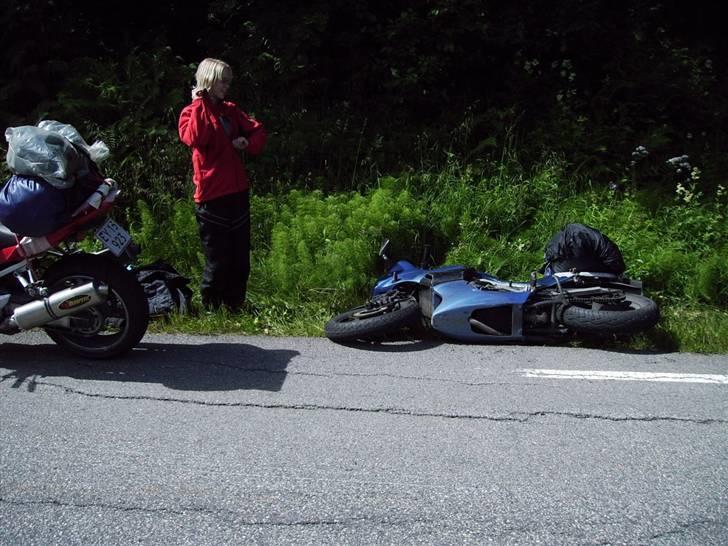 Suzuki SV1000 [SOLGT] - Ja, hun kom til at holde lidt for tæt på kanten, så der ikke var mere asfalt at sætte foden ned på :( billede 16