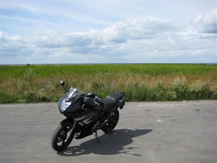 Suzuki GS500F billede 8