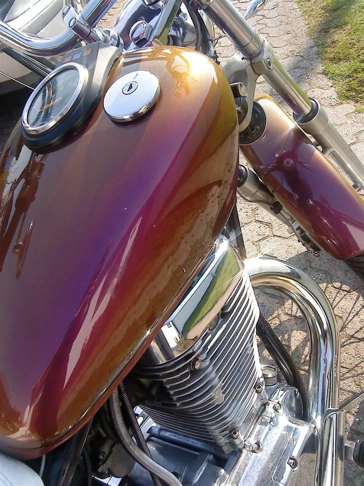 Suzuki LS 650 Savage *SOLGT* billede 3