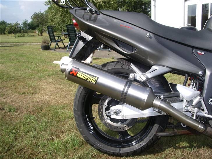 Honda CBR1100XX--solgt billede 10