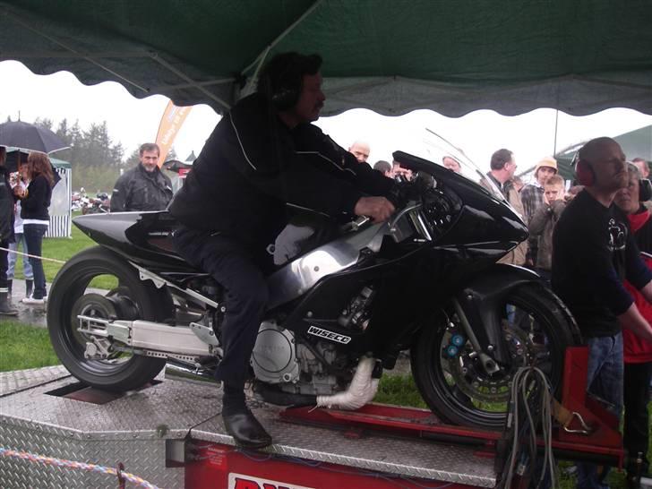 Yamaha yzf ace ( dragbike) billede 12