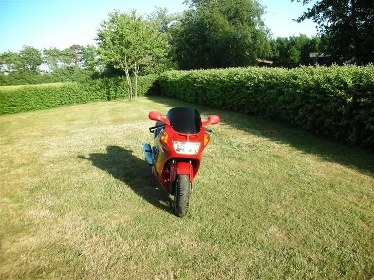 Honda cbr 1000 f billede 5