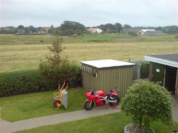 Suzuki SV 650 S (solgt) billede 20