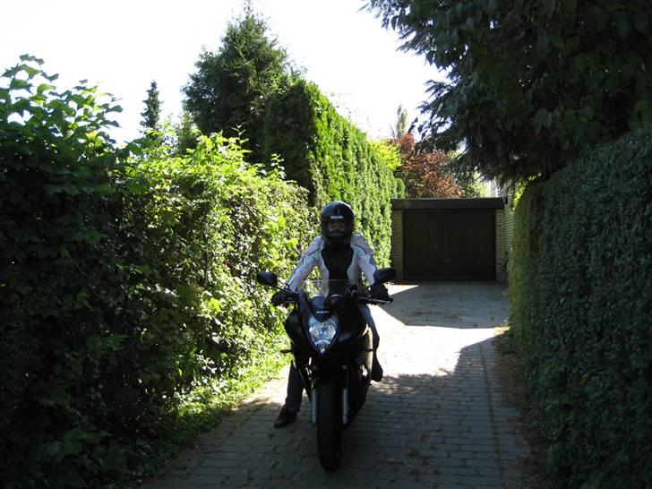 Suzuki GS500F billede 10