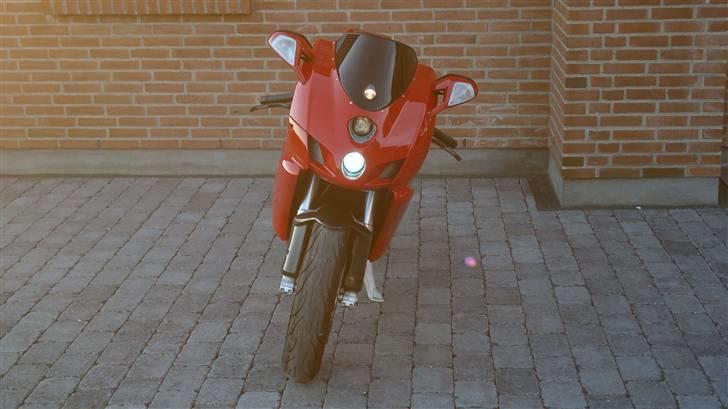 Ducati 999 billede 4