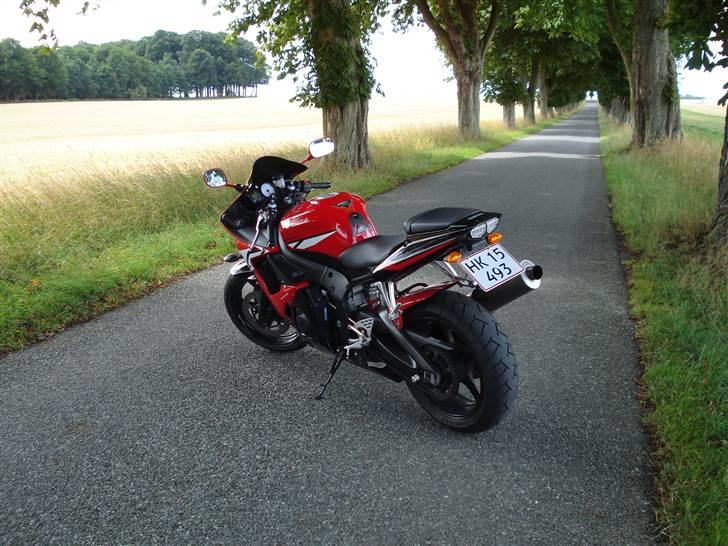 Yamaha YZF R6 (solgt) billede 15