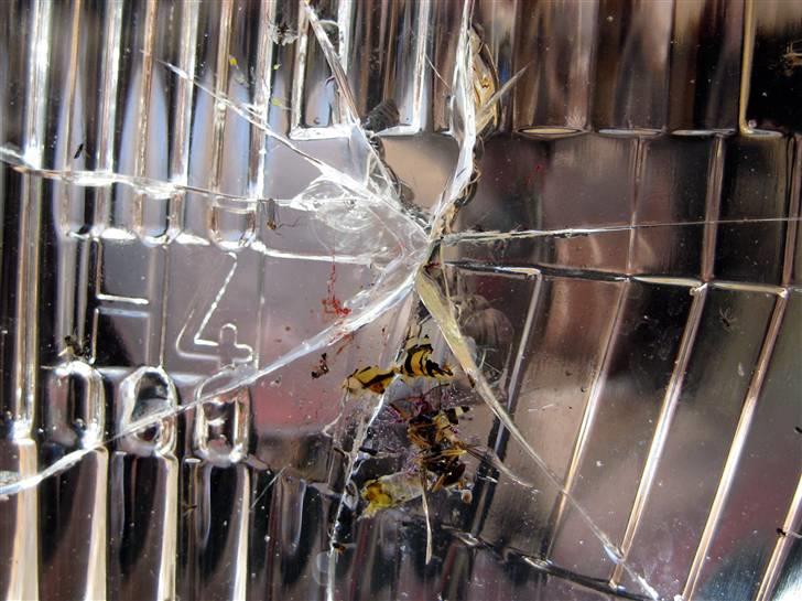 Ducati Monster 800 i.e. - Fucking monster flue billede 13