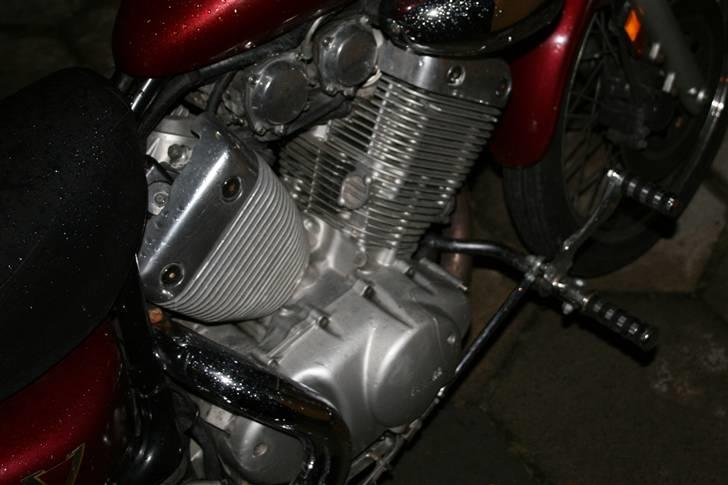 Yamaha 535 virago (usa)solgt billede 4
