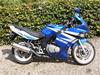 Suzuki GS 500 F: Total smadret