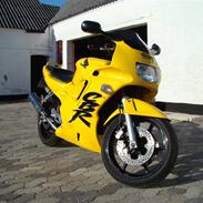 Honda Cbr 600 f2 Gul