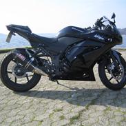Kawasaki Ninja 250R