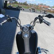 Harley Davidson *Custom Dyna Street Bob*