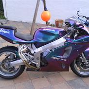 Kawasaki ZX7R - Afgik ved døden -
