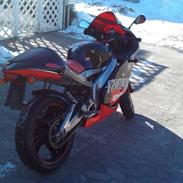 Aprilia Rs 125 Replica (Solgt)