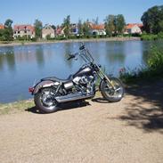 Harley Davidson street bob