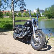 Harley Davidson street bob