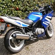 Suzuki GS 500 F: Total smadret