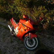 Kawasaki ZZ-R 600