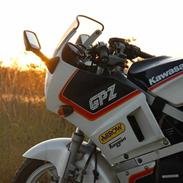 Kawasaki GPZ 600R - SOLGT