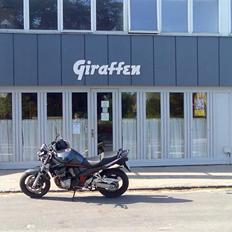 Suzuki GSF 1200 Bandit N