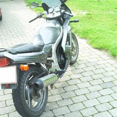 Suzuki gs500e SOLGT