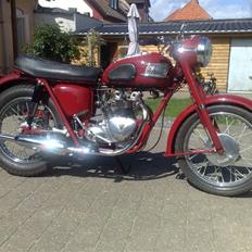 Triumph Speed Twin 