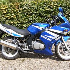 Suzuki GS 500 F: Total smadret