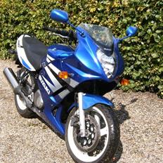 Suzuki GS 500 F: Total smadret