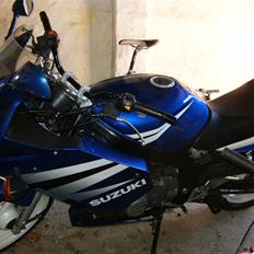 Suzuki GS 500 F: Total smadret